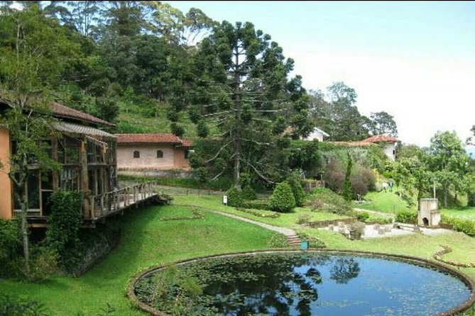 The Brazilian Switzerland - Full Day Trip to Campos Do Jordão From São Paulo - Transportation and Logistics