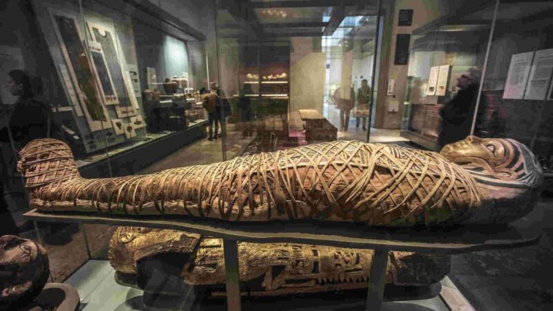 The British Museum London: Private Guided Tour - 3 Hour - Key Highlights of the Tour