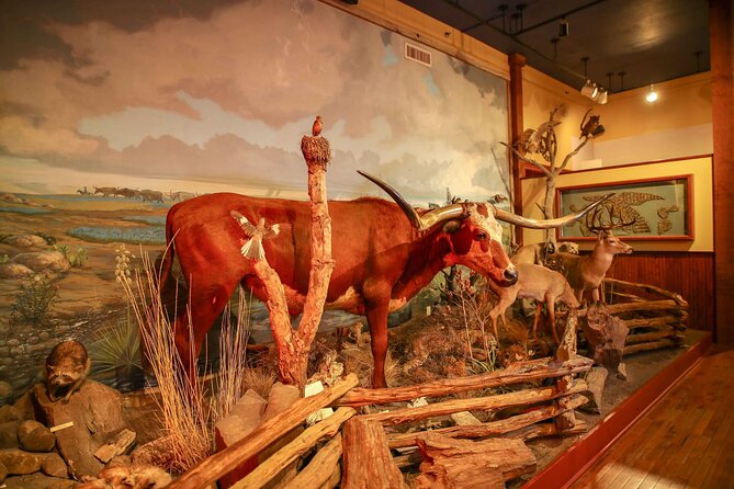 The Buckhorn Saloon & Museum and Texas Ranger Museum Admission - Policies and Cancellation