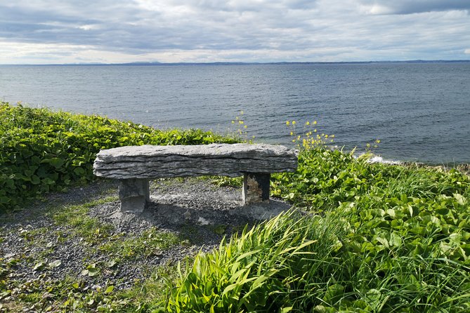 The Burren and Cliffs of Moher Full Day Private Tour From Galway - Comfortable and Personalized Experience