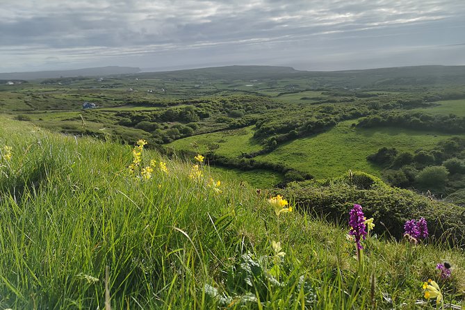 The Burren and Cliffs of Moher Full Day Private Tour From Galway - Additional Information