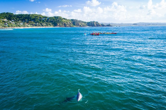 The Byron Bay Sea Kayak Tour - Safety Considerations and Cancellation Policy