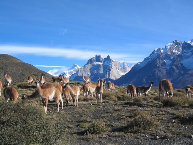 The Calafate Package: Torres Del Paine + Perito Moreno Glacier - Frequently Asked Questions