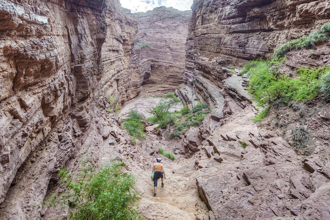 The Calchaqui Valley Winery and Scenery Tour in Cafayate - Scenic Highlights of the Calchaqui Valley