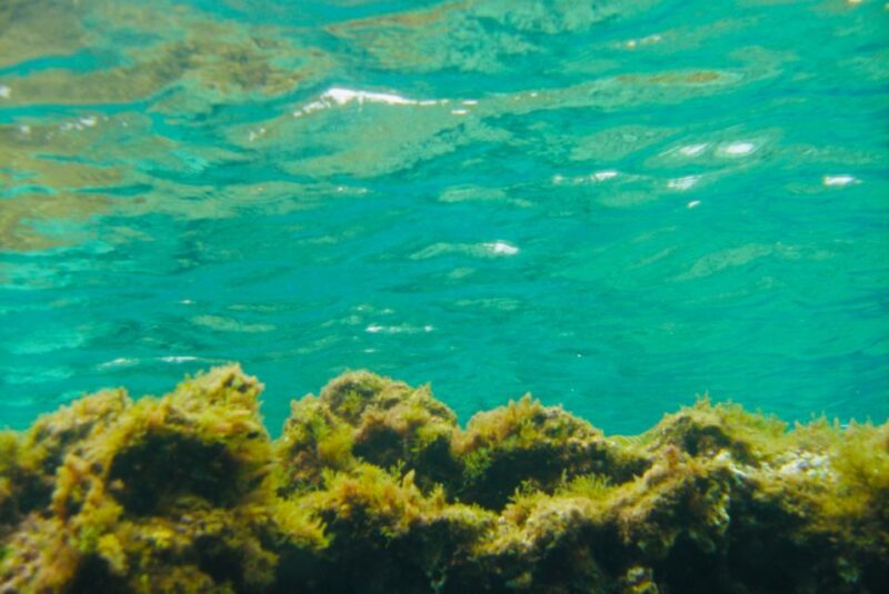 The Canteras Scuba Diving - Inclusions and Equipment Provided