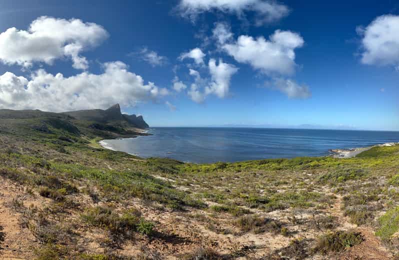 The Cape Peninsula: A Day of Coastal Elegance - Tour Features