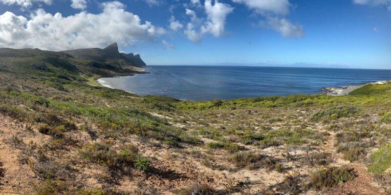 The Cape Peninsula: A Day of Coastal Elegance - Restrictions and Suitability