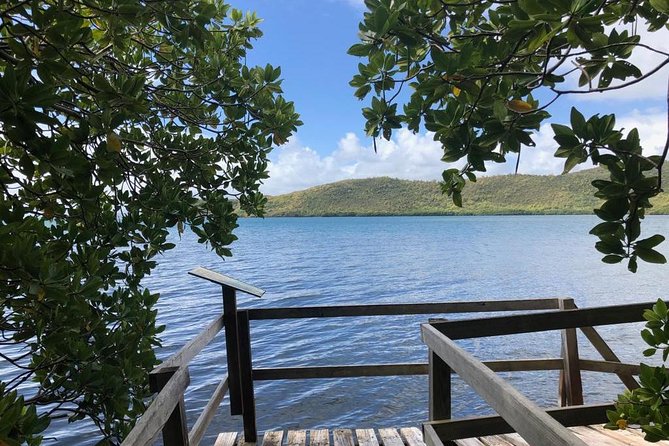 The Caravelle Hike in Martinique - Trekking the Panoramic Trails