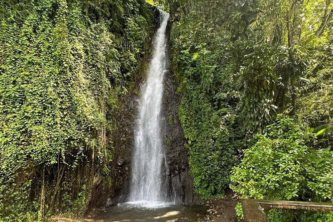 The Cascading Dark View Falls and Beach Experience With Topdawg Taxi and Tours - Inclusions and Amenities