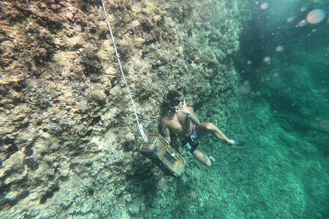The Challenge in Mallorca - Activities in the Challenge