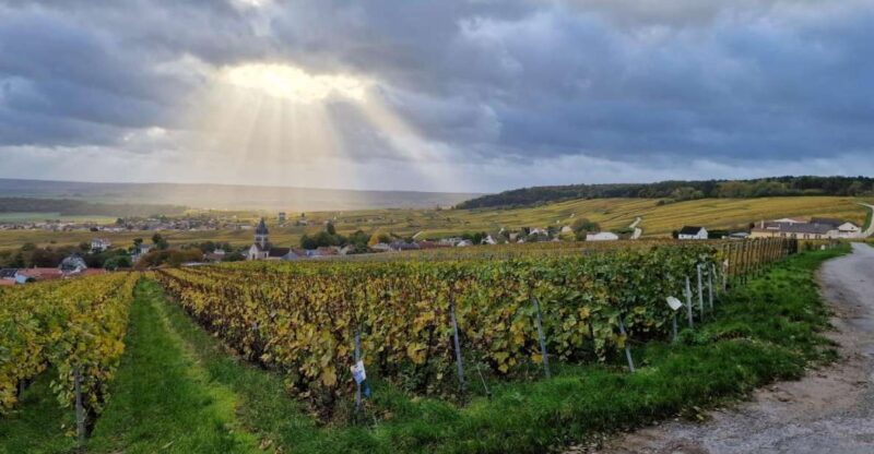 The Champagne Tour - Inclusions in the Tour Package