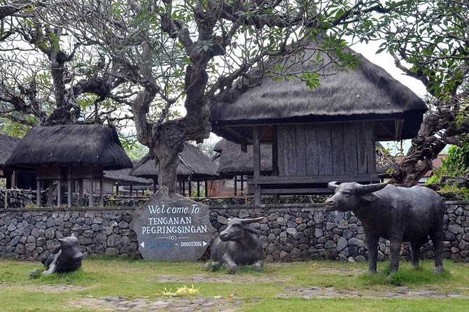 The Charm of East Bali and Blue Lagoon Snorkeling - Taking in the Local Culture