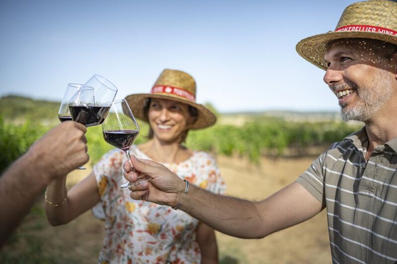 The Châteaux of Grès De Montpellier & Wine Tasting - Wines of the Region