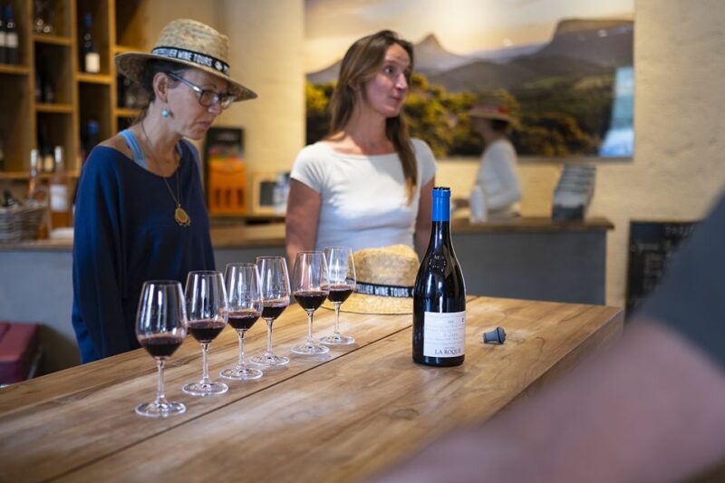 The Châteaux of Grès De Montpellier & Wine Tasting - Historical Heritage Insights