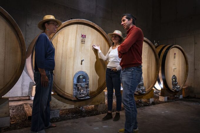 The Châteaux of Grès De Montpellier & Wine Tasting - Tour Inclusions and Pricing