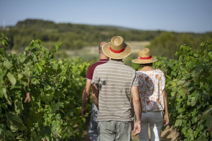 The Châteaux of Grès De Montpellier & Wine Tasting - Frequently Asked Questions