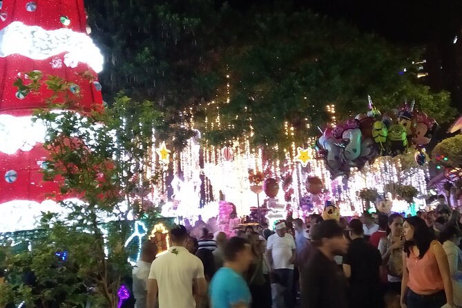 The Christmas Lights in Medellín Start on December 2, 2025 - Meeting and Pickup