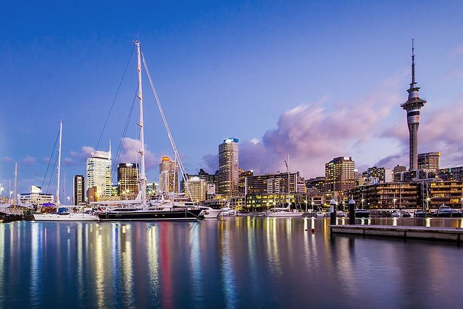 The City Lights: a Unique Electric Bike Tour of Auckland by Night! - Tour Inclusions