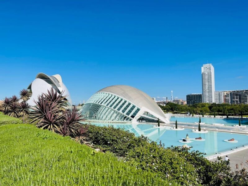 The City of Arts and Sciences in Valencia - Group and Accessibility