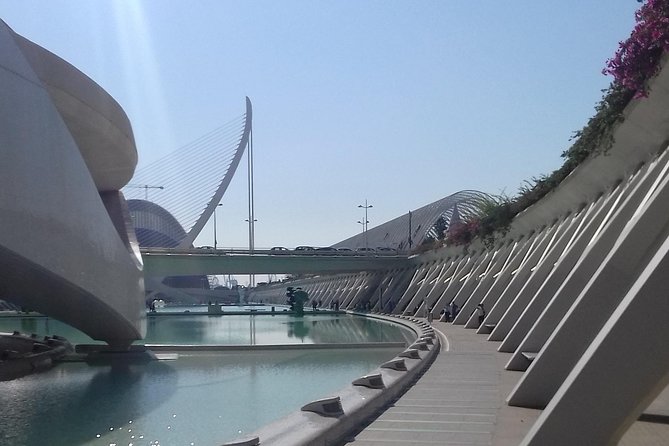 The City of Arts and Sciences in Valencia - What to Expect on the Tour