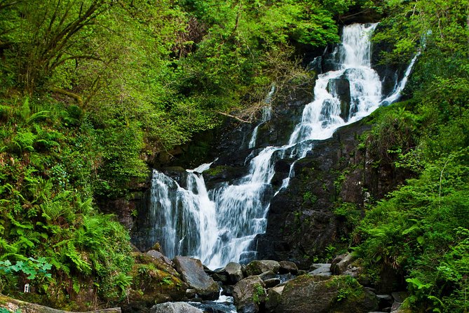 The Classic Ring of Kerry & Skellig Ring Tour - Private Transportation