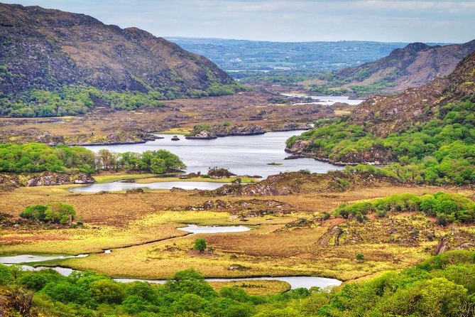 The Classic Ring of Kerry & Skellig Ring Tour - Accessibility and Amenities