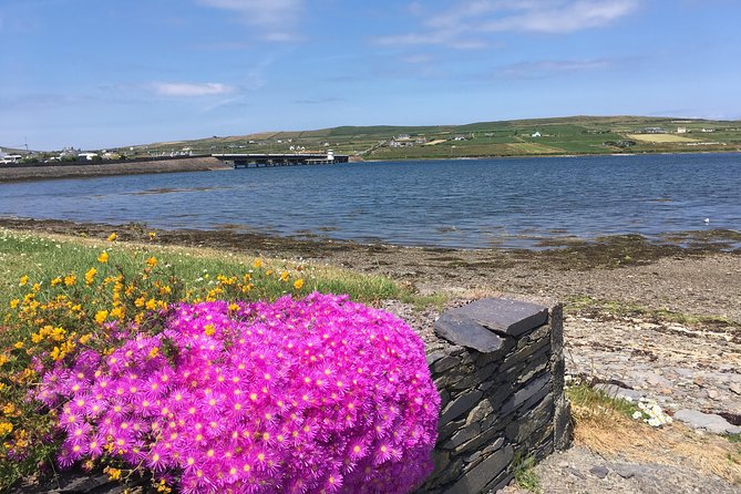 The Cliffs of Moher and Burren National Park Private Tour. - Scenic Landmarks
