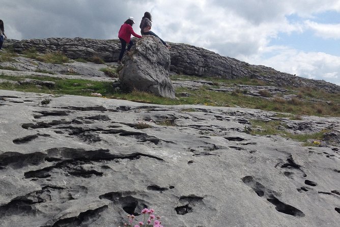 The Cliffs of Moher and Burren National Park Private Tour. - Customizable Itinerary