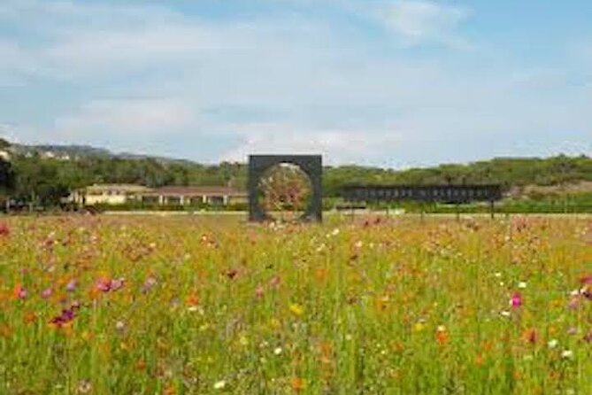 The "Clos Des Roses" Wine Tasting & Lunch - Discovering the Charming Village