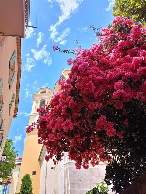 The Coastal Path Hike From Nice to Villefranche - Booking Information