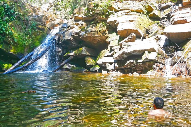 The Coffee Route in the Central Forest 3 Days 2 Nights - Tour Pricing