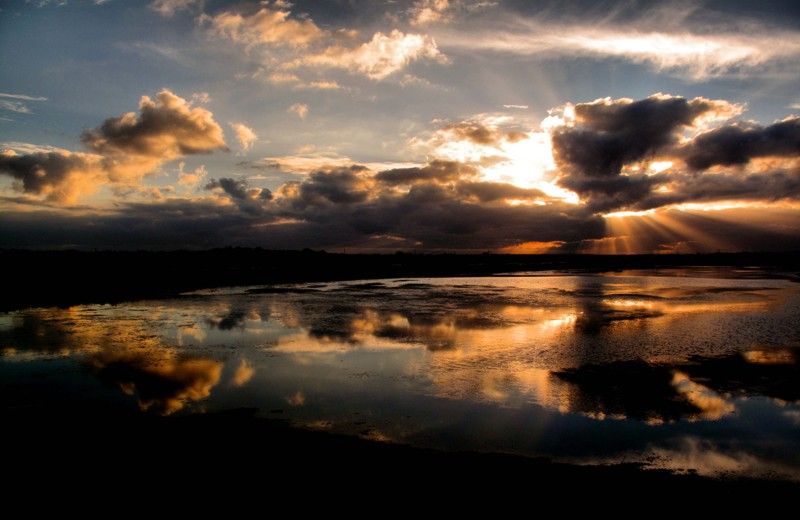 The Colors of Ria Formosa: Sunset Boat Trip in Faro - Inclusions and Amenities