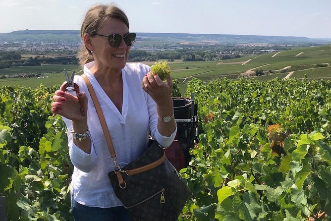 The Connoisseurs From Epernay (Private Half Day Champagne Tour) - Champagne House Visits