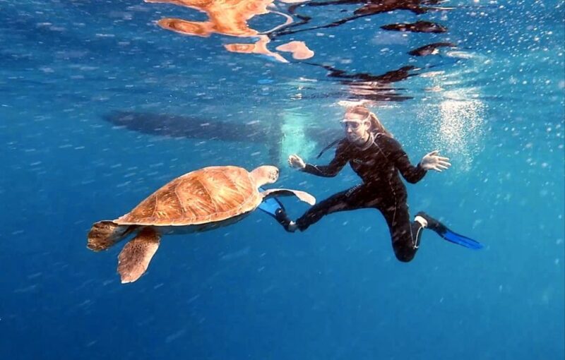The Cookies: Tenerife Turtles and Rays Snorkeling Cruise - Restrictions