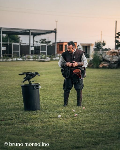 The Court of the Falconer Masseria Mazzetta - Live Demonstrations