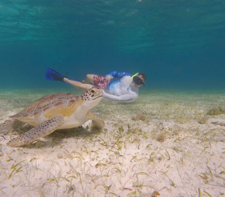 The Cozumel Turtle Sanctuary Snorkel Tour - Restrictions and Requirements
