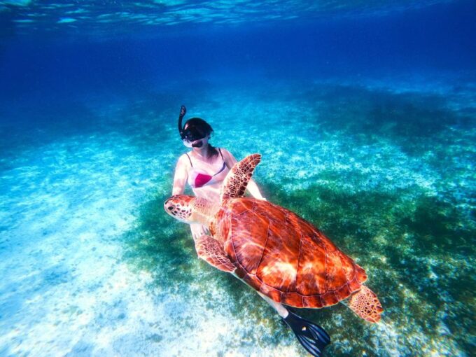 The Cozumel Turtle Sanctuary Snorkel Tour - Destinations and Activities