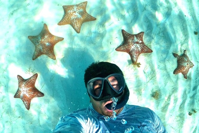 The Cozumel Turtle Sanctuary Snorkel Tour - Meeting and Pickup