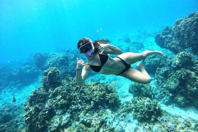 The Cozumel Turtle Sanctuary Snorkel Tour - Marine Park Fee and Sundry