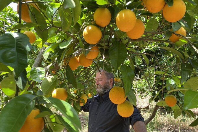 The Cretan Way of Life at the Mountains of Rethymno (Mylopotamos) - Sampling Cretan Delicacies