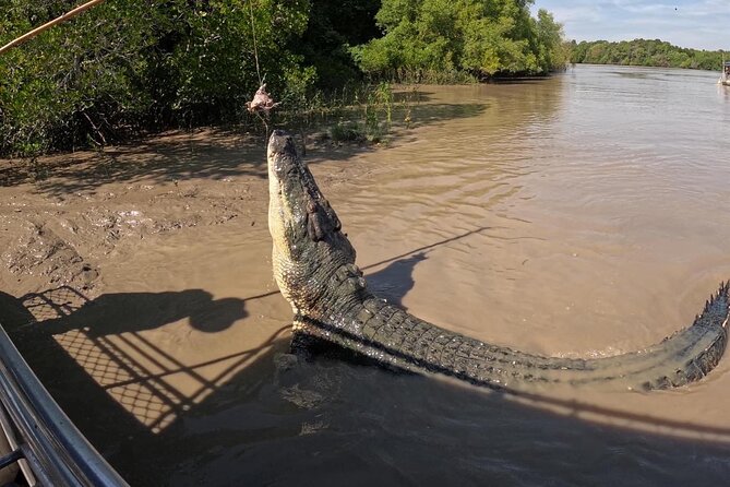The Croc Bus to the Famous Jumping Crocodile Cruise - Booking Confirmation and Accessibility