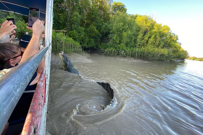 The Croc Bus to the Famous Jumping Crocodile Cruise - Exceptional Reviews and Ratings