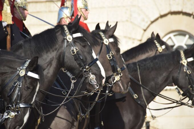 The Crown Walking Tour of London - Access to Royal Palaces