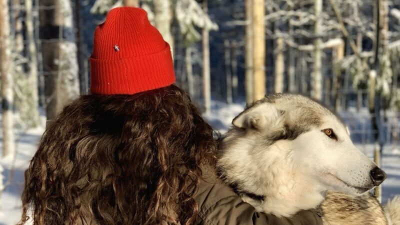 The Cuddly Wolf - Private Tour - Photography and Interaction