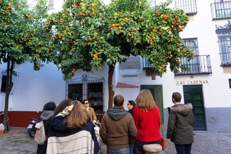 The Cultures of Seville Walking Tour - Uncovering Unique Historical Facts in Barrio De Santa Cruz