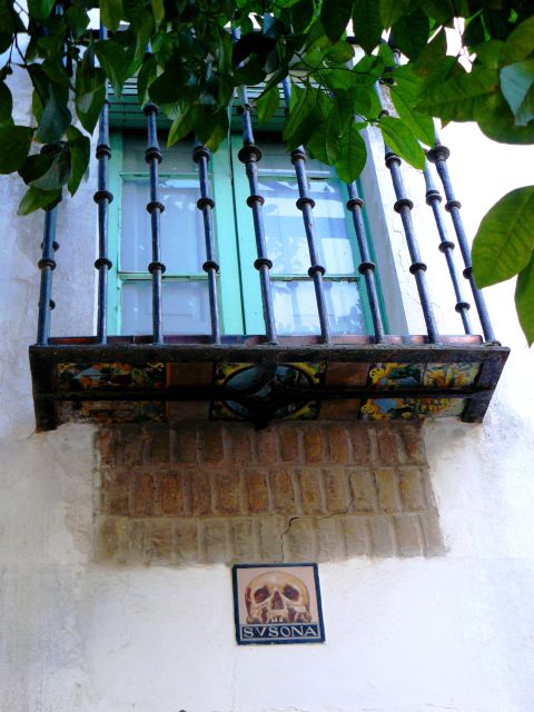 The Cultures of Seville Walking Tour - Preparation and Recommendations