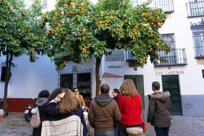The Cultures of Seville Walking Tour - Discover Cultural Legacies
