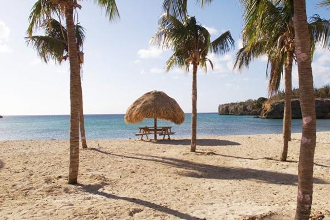 The Curacao Full Day Private Tour Experience - Customizable Experiences