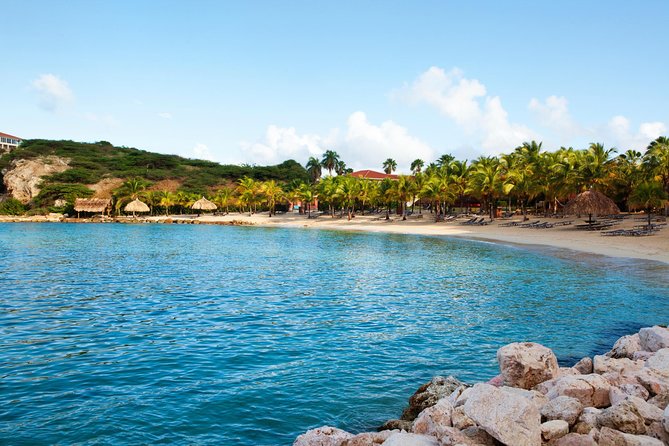 The Curacao Private Beach Hopping / Snorkeling Tour - Recommendations and Repeat Experiences
