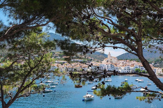 The Dalí Triangle & Cadaqués Day Trip From Girona - Traveler Testimonials